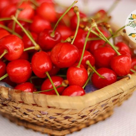 오스투니 Zagare E Limoni 아파트 외부 사진