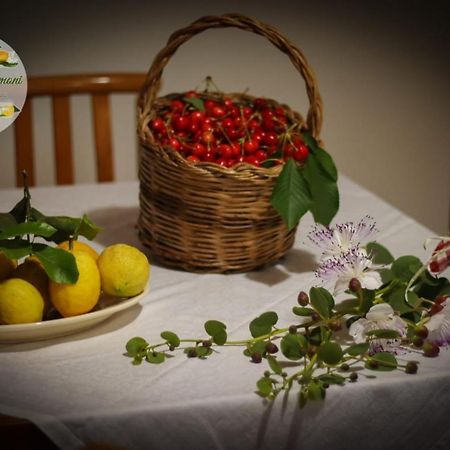 오스투니 Zagare E Limoni 아파트 외부 사진
