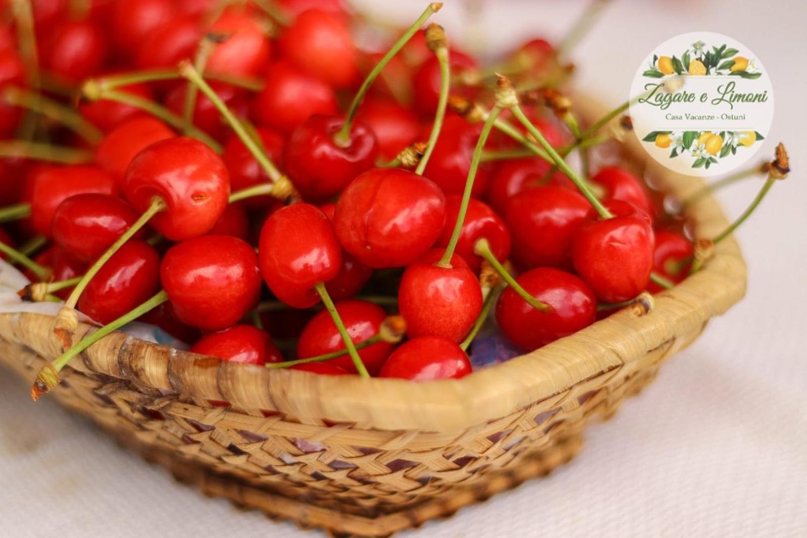 오스투니 Zagare E Limoni 아파트 외부 사진